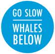 GO-SLOW_icon