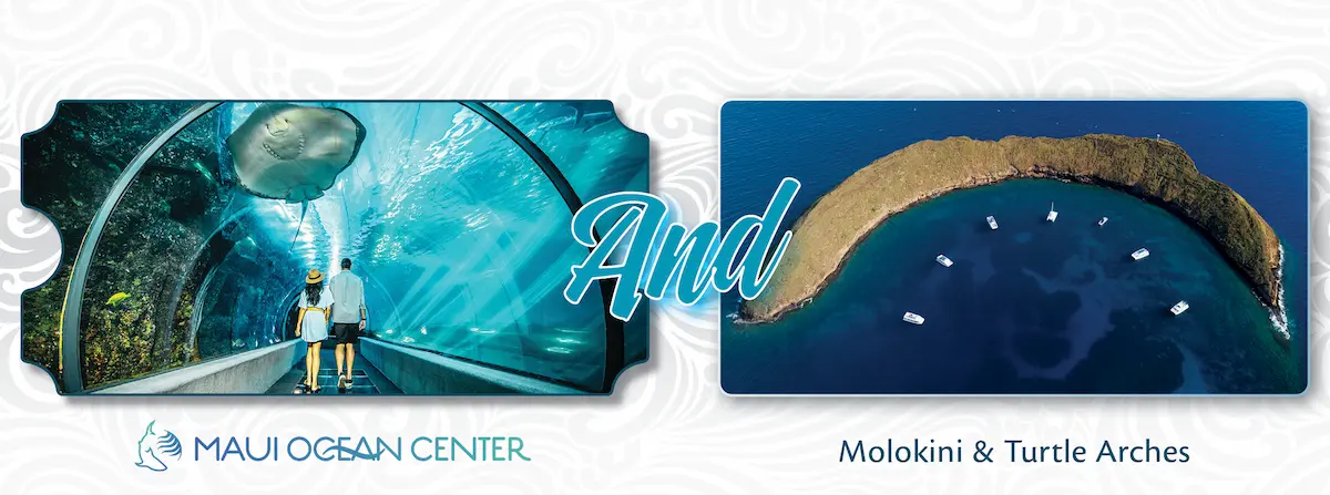 Ultimate Ocean Package: Molokini & Turtle Arches Snorkel + Aquarium