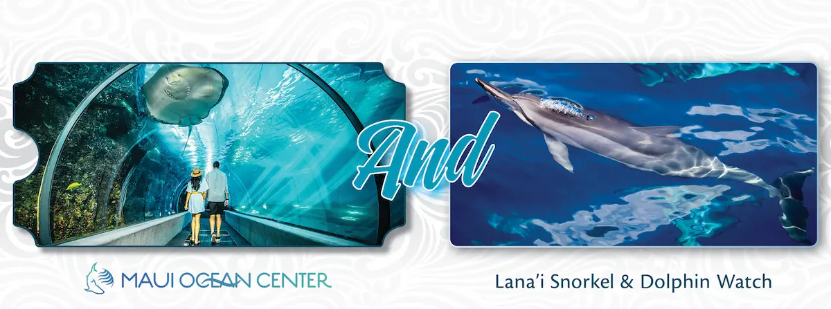 Ultimate Ocean Package: LANAʻI SNORKEL & DOLPHIN WATCH TOUR + Aquarium
