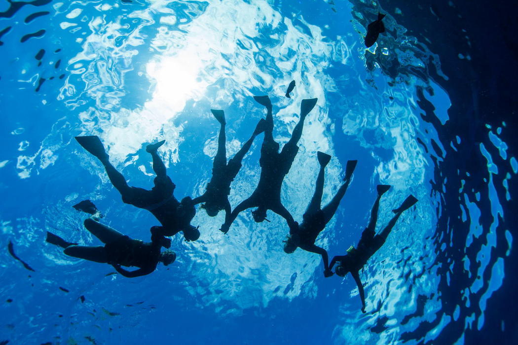 PWFGroup Snorkelers