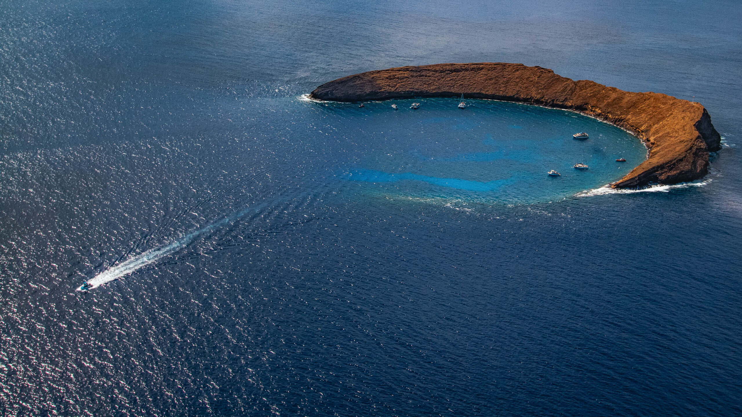 Molokini & Turtle Adventure