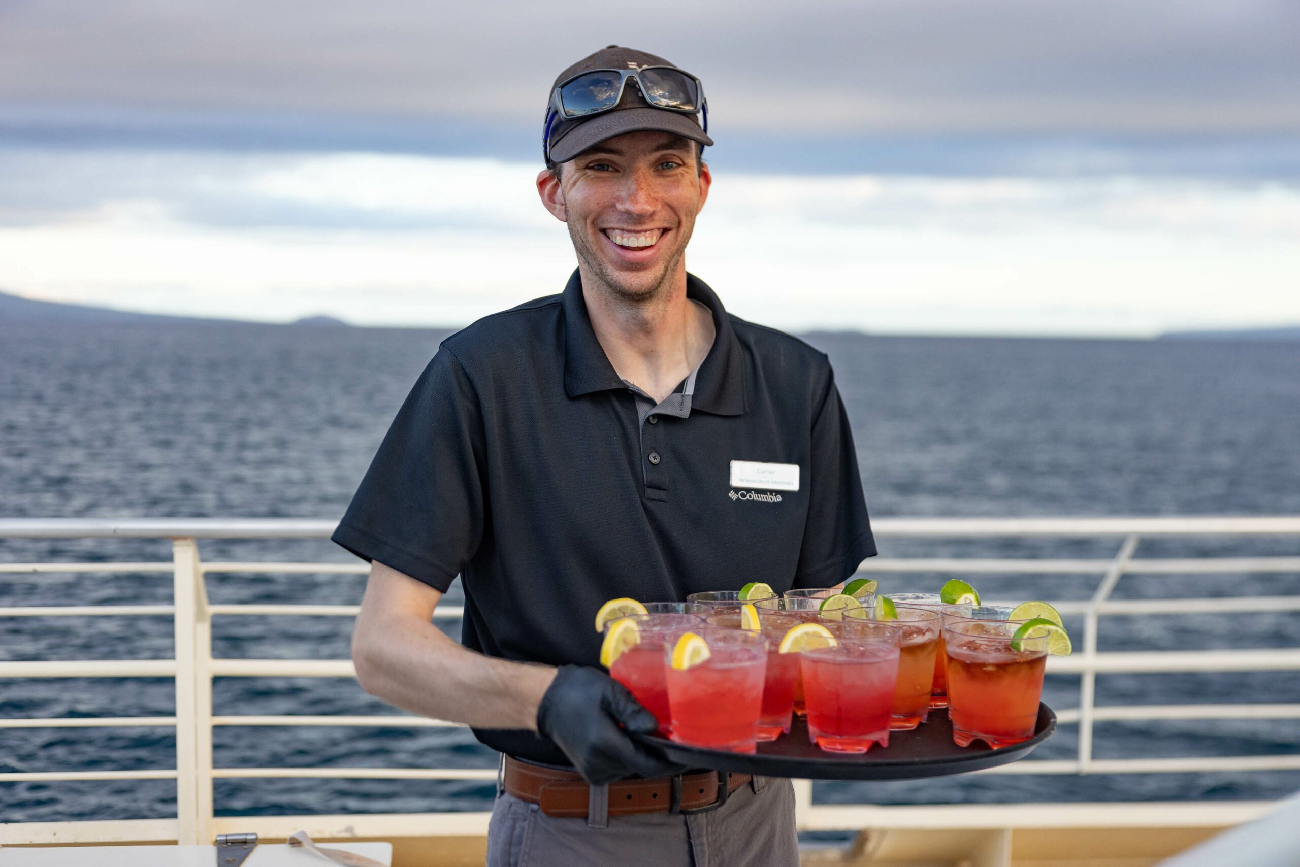 Ultimate Dolphin Watch | Pacific Whale Cruises