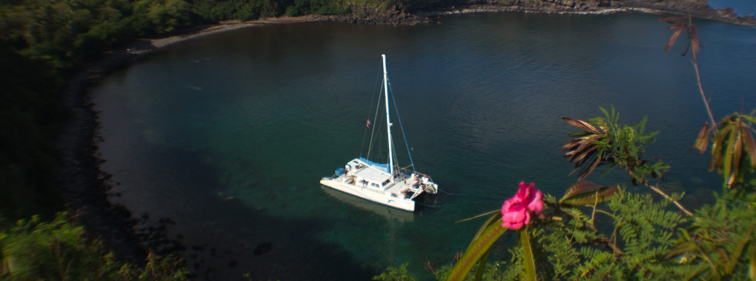 Honolua Snorkel Sail
