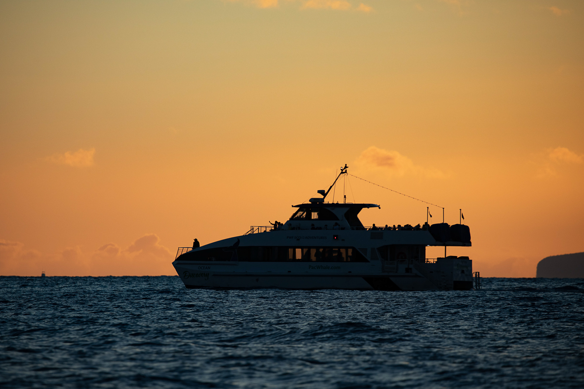 Sunset Dinner Cruise