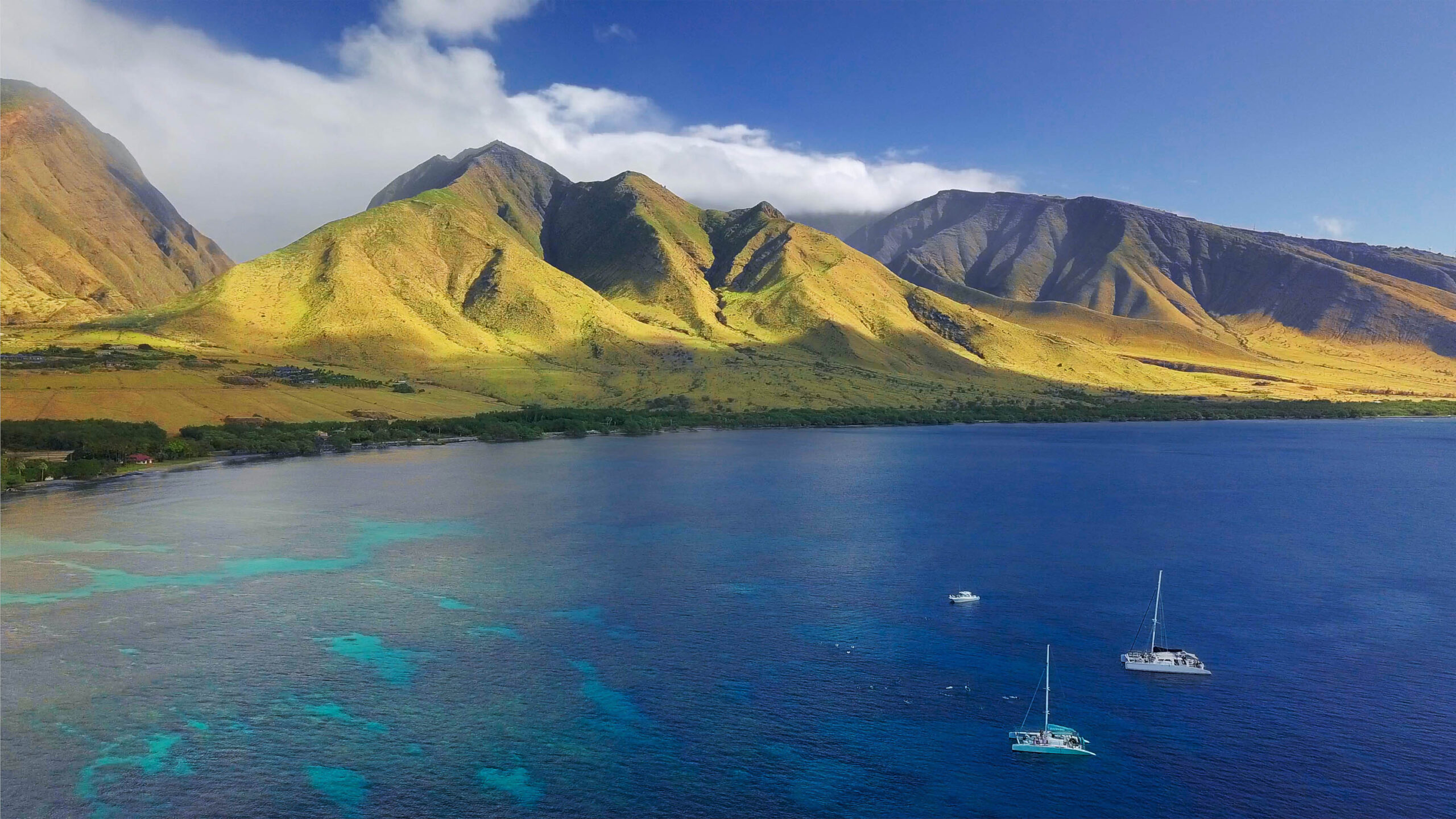 Maalaea Whale Watch photo